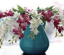 神奇花藝系列